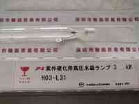 EYE岩崎  H03-L31  水银灯