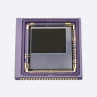 HAMAMATSU滨松     S16101     CMOS 面阵图像传感器