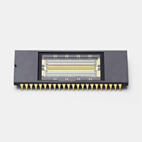 HAMAMATSU滨松    G10768-1024DB      InGaAs 线阵图像传感器 