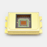 HAMAMATSU滨松    G13393-0808W         InGaAs 面阵图像传感器