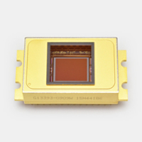 HAMAMATSU滨松      G13393-0909W       InGaAs 面阵图像传感器