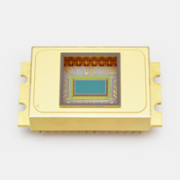 HAMAMATSU滨松     G13441-01        InGaAs 面阵图像传感器