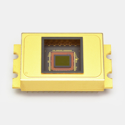 HAMAMATSU滨松       G14672-0808W       InGaAs 面阵图像传感器