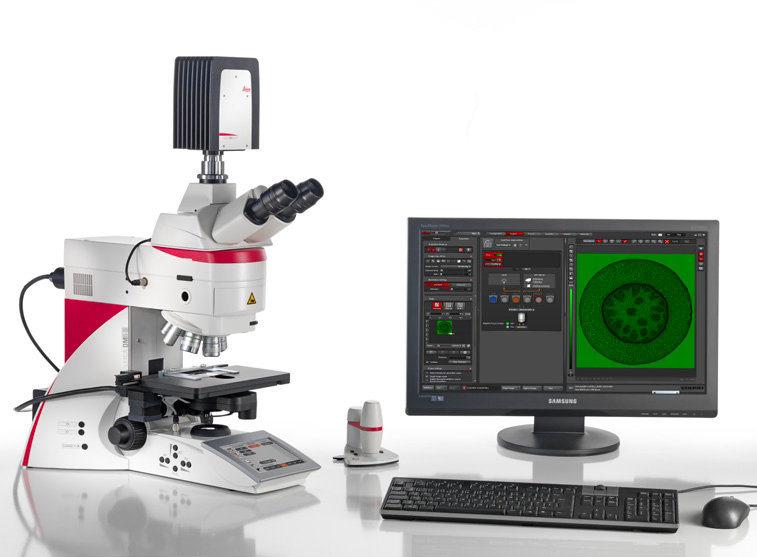 Leica徕卡           DM6 B              正置显微镜