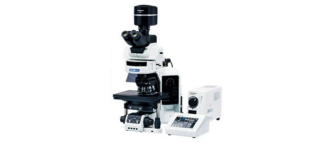 奥林巴斯OLYMPUS          BX63        荧光显微镜