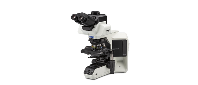 奥林巴斯OLYMPUS         BX53         荧光显微镜