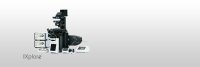奥林巴斯OLYMPUS         IXplore TIRF           显微镜